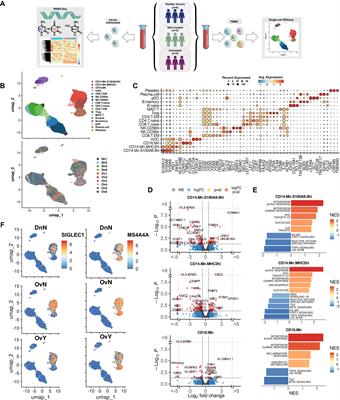 Platinum-based chemotherapy promotes antigen presenting potential in monocytes of patients with high-grade serous ovarian carcinoma